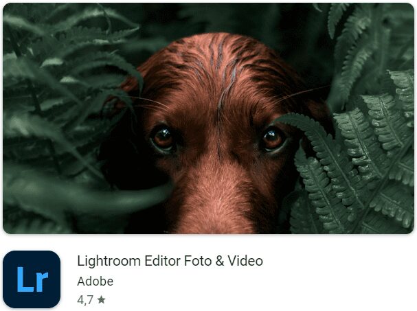 Adobe Lightroom Pro